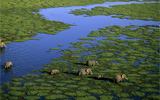 Amboseli Reserve